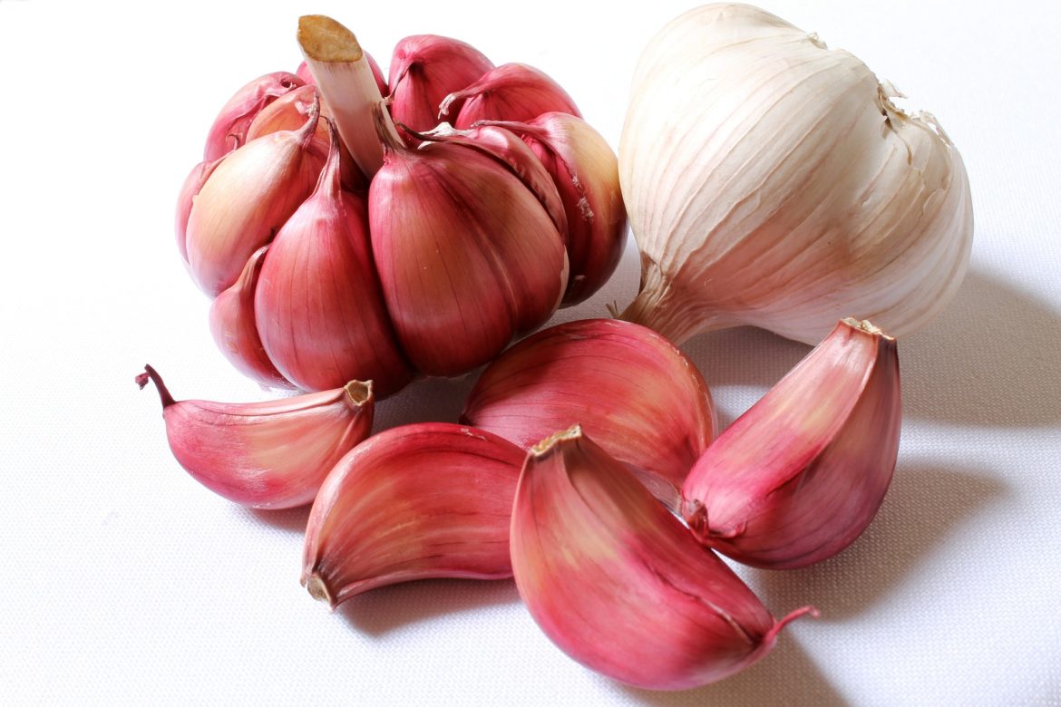 garlic 618400 1920