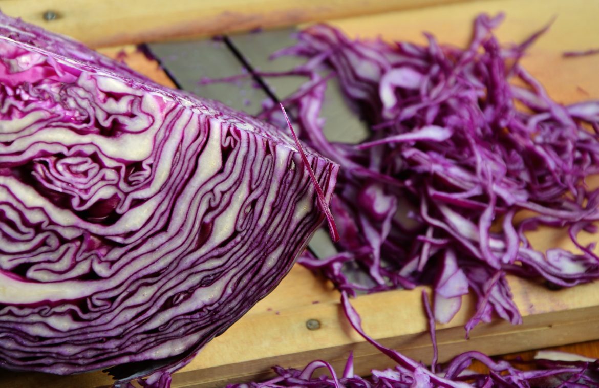 red cabbage 1931731 1920
