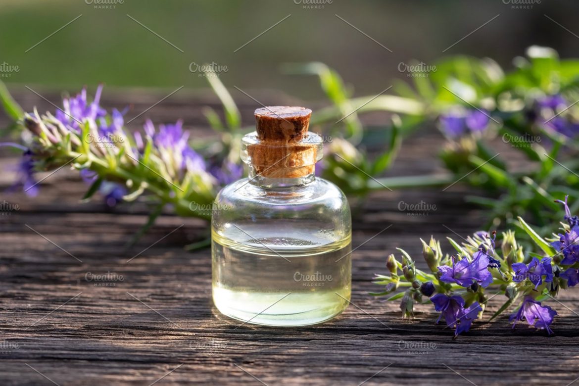 hyssop essential oil