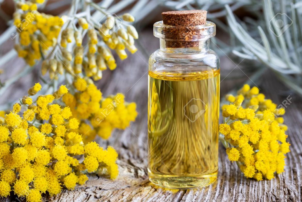 helichrysum essential oil